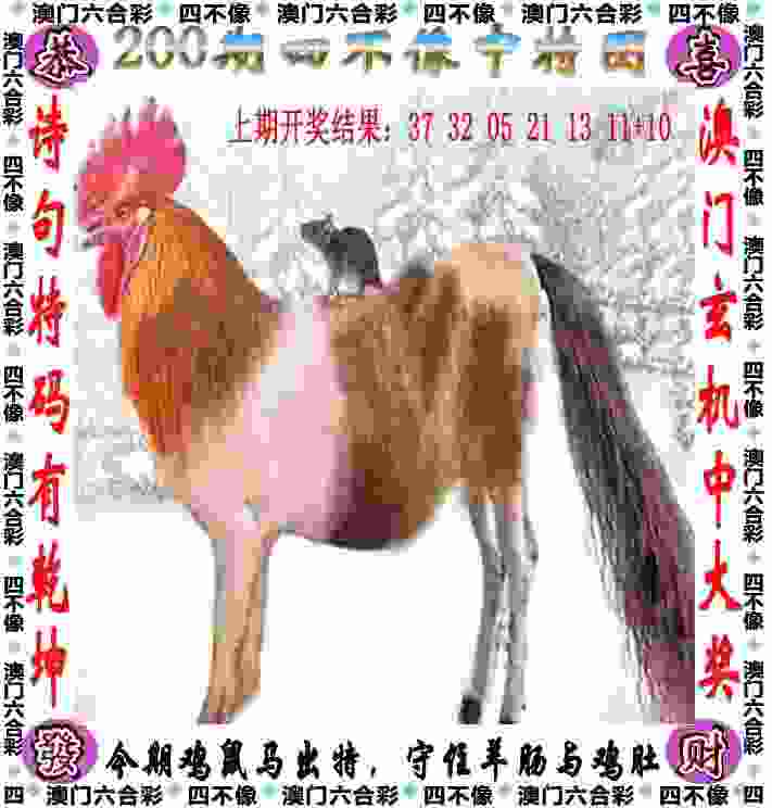 新澳门管家婆100%期期中tap版下载-2025新奥天天开好彩新奥彩免费版32.dll下载v8   .49   .451   -2278安卓网